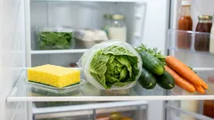 Esponja na geladeira: um truque simples usado por donas de casa experientes