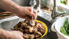 Lavar cogumelos corretamente: o que influencia a textura e o tempo de fritura