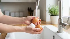 Você lava os ovos antes de colocá-los na geladeira? Há uma razão pela qual é melhor não fazer isso.