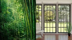 O vidro já não é necessário? Na China, estão a testar janelas feitas de bambu transparente.