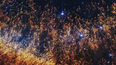 O telescópio James Webb Space Telescope mostrou a imagem mais detalhada da nebulosa Helix Nebula