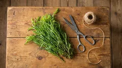 Esta erva aromática altera radicalmente o sabor dos pratos, mas é frequentemente utilizada de forma incorreta.