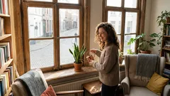 A sua primeira ficus e muito mais: as 7 melhores plantas de interior para principiantes